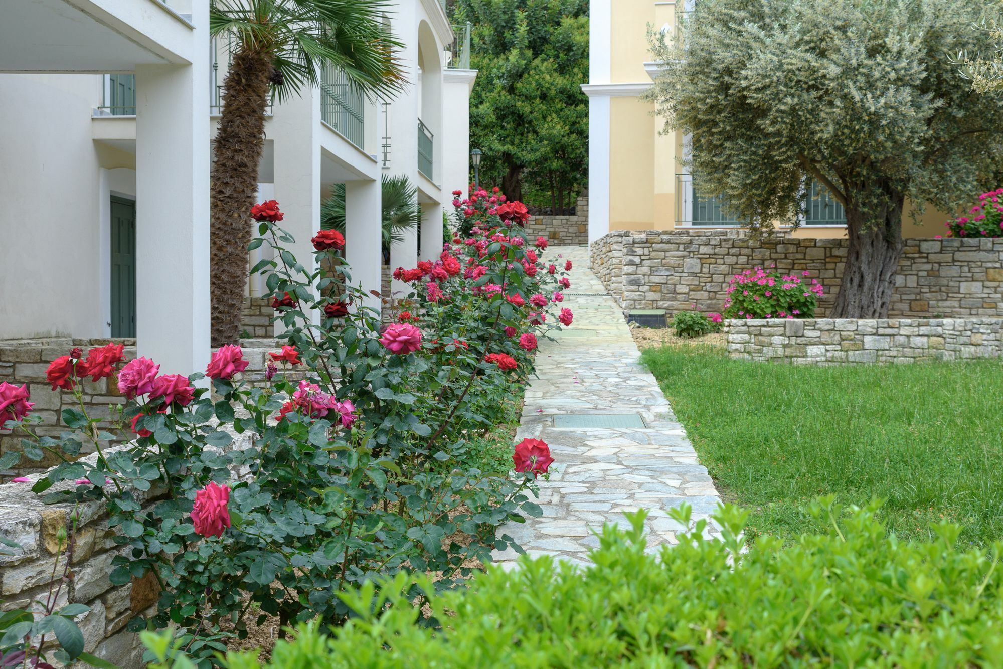 Kyveli Hotel Apartments Vrontádos Extérieur photo